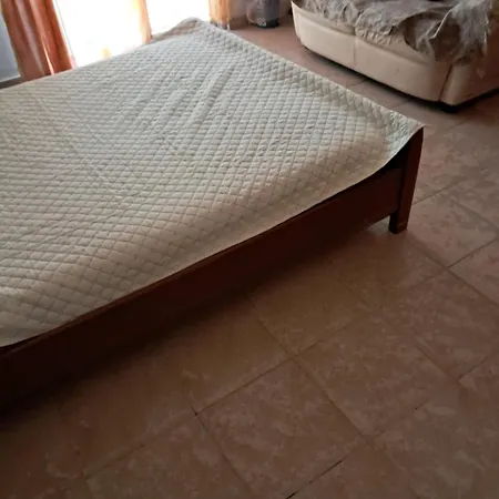 Galinis Парадейси