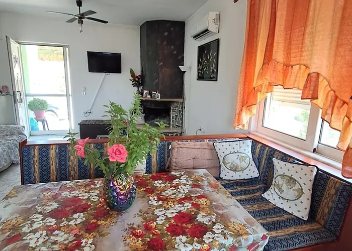 Galinis باراديسيون