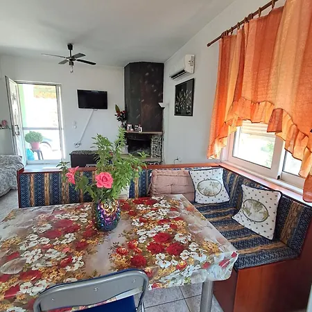 Galinis Paradeísion