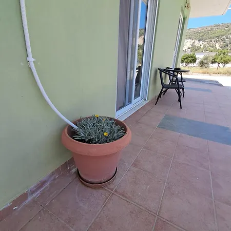 Galinis * Paradeísion