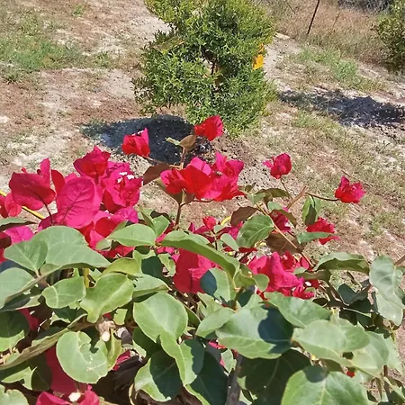 Galinis Casa rural *