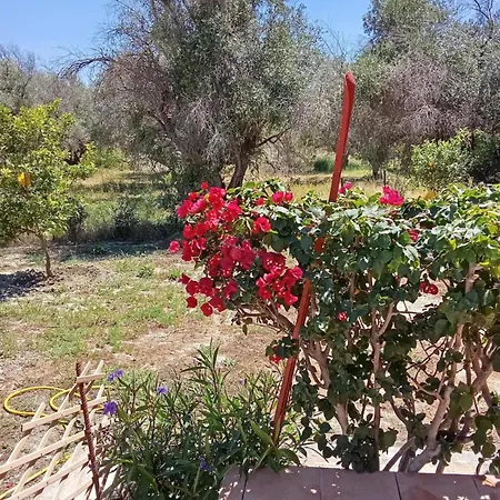 Galinis Casa rural *