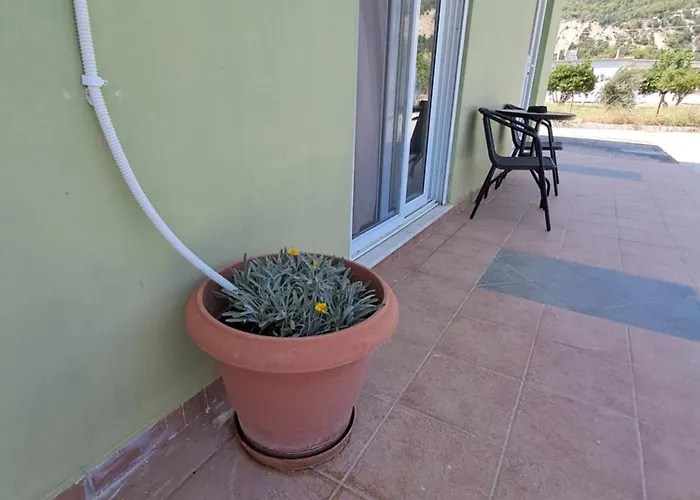 Galinis * Paradeísion